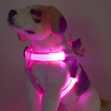 Hot New 2017  LED Flashing Light Dog Harness