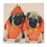 Cute Animals Throw Pillow Covers 43 cm